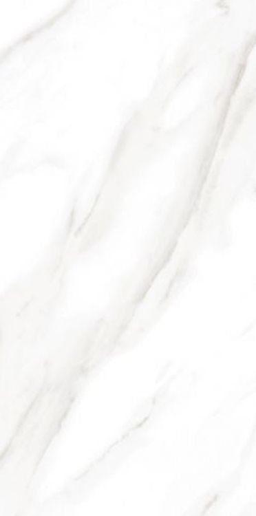 EC Calacatta Gold Matte 12 x 24